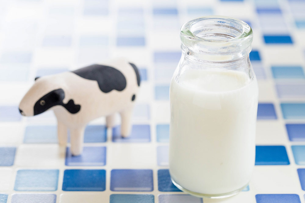 第5回 そんなに牛乳が必要か? Is that much milk necessary?