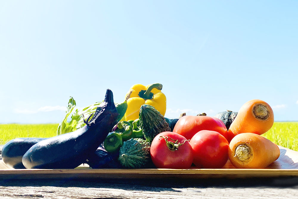 第3回；農薬と食　Pesticides and Foods その③「農薬リスクと向き合う」「Face the Individual Health Risk」